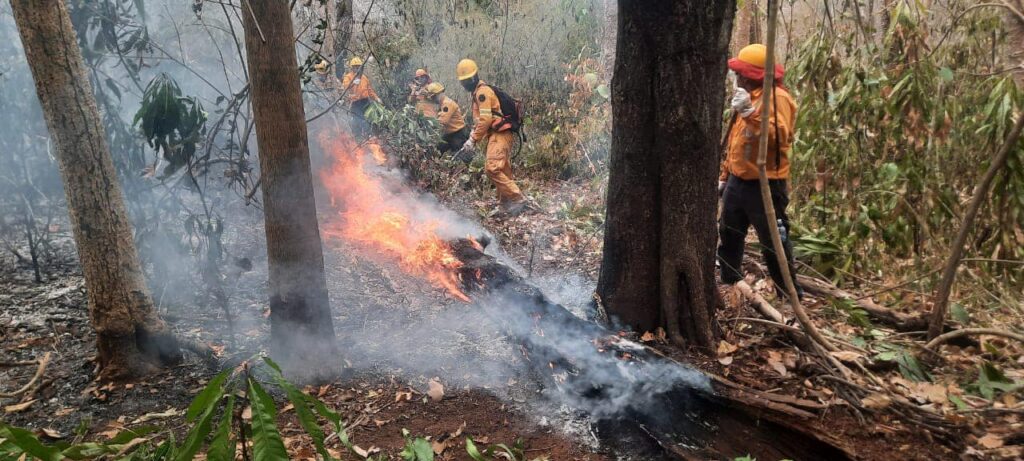 La mayor región de Bolivia pide al Gobierno declarar "desastre nacional" por los incendios - AlbertoNews