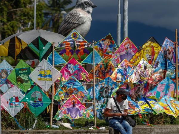 Las razones por las que la informalidad laboral en Colombia no baja, según la Ocde | Empleo | Economía