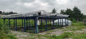 Los paneles solares quieren abrigar a la agricultura familiar mexicana