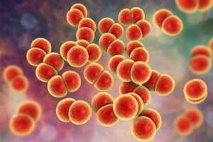 Más de 39 millones de muertes por infecciones resistentes a los antibióticos hasta 2050