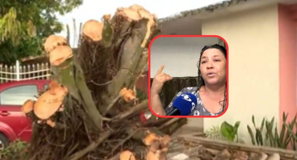 Mujer comparó vendaval en Barranquilla con Jumanji, la película por serios daños