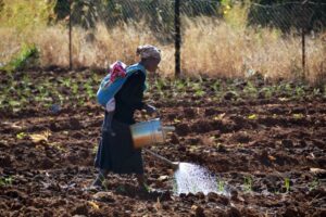 OIT pide más protección social para enfrentar el cambio climático
