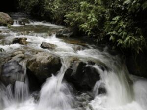Parque Los Farallones: Gobierno anuncia medidas para enfretar la minería ilegal | Regiones | Economía