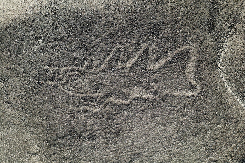 Permite inteligencia artificial identificar 303 nuevas figuras en Nazca