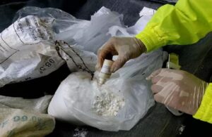 Policía decomisa cerca de 300 kilos de clorhidrato de cocaína en zona andina de Ecuador - AlbertoNews