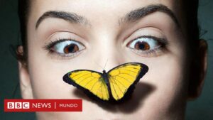 Por qué nuestros cuerpos y los de la mayoría de los animales son simétricos (por fuera)