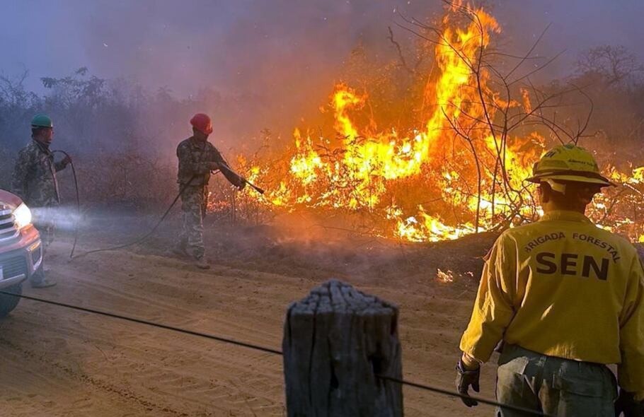 Por tierra y aire intentan apagar en Paraguay incendio que ha arrasado 190.000 hectáreas - AlbertoNews