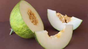 Se recupera el mochuelo, un melón en vías de extinción