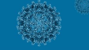 Semanalmente mueren en España hasta cuatro personas por causas relacionadas con la hepatitis C
