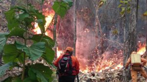 Tolima y Cauca, los departamentos más afectados