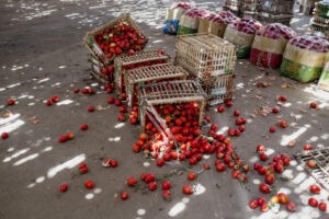 Un tercio de los alimentos se pierde o desperdicia en el mundo