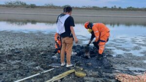 así fueron los momentos de angustia que se vivieron cuando un niño de 10 años quedó atrapado en una laguna de lodo