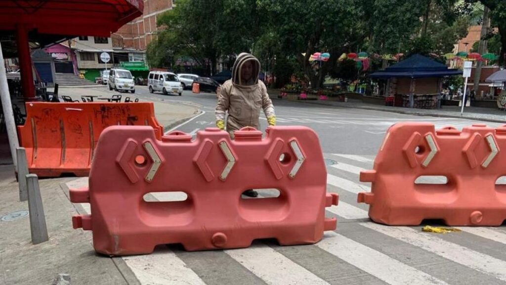 ataque masivo de abejas hizo que cerraran el parque principal de Barbosa