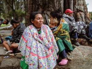 cómo es el retorno de los indígenas embera desde bogotá | Regiones | Economía