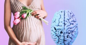 el embarazo cambia el cerebro y deja huellas permanentes que preparan para la maternidad