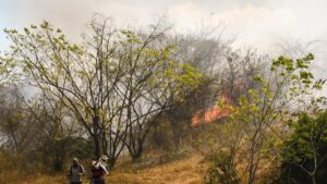 hay 26 puntos de fuego activos y se reportan cerca de 11 mil hectáreas afectadas