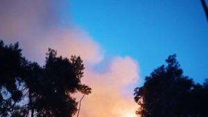 incendio consumió más de 20 hectáreas de reserva natural en el norte del Cauca