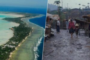 ocupa los cuatro hemisferios y pronto podría desaparecer por el cambio climático