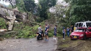 quince viviendas afectadas, vías cerradas por caída de árboles y apagón en varios sectores