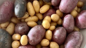 un frutero explica qué patata escoger para cada receta