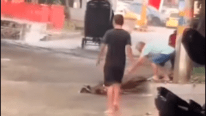 video de hombre arrojando basura en vía pública