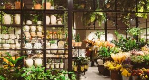¿Dónde comprar plantas baratas en Bogotá? Así puede llegar, hay desde $ 2.000