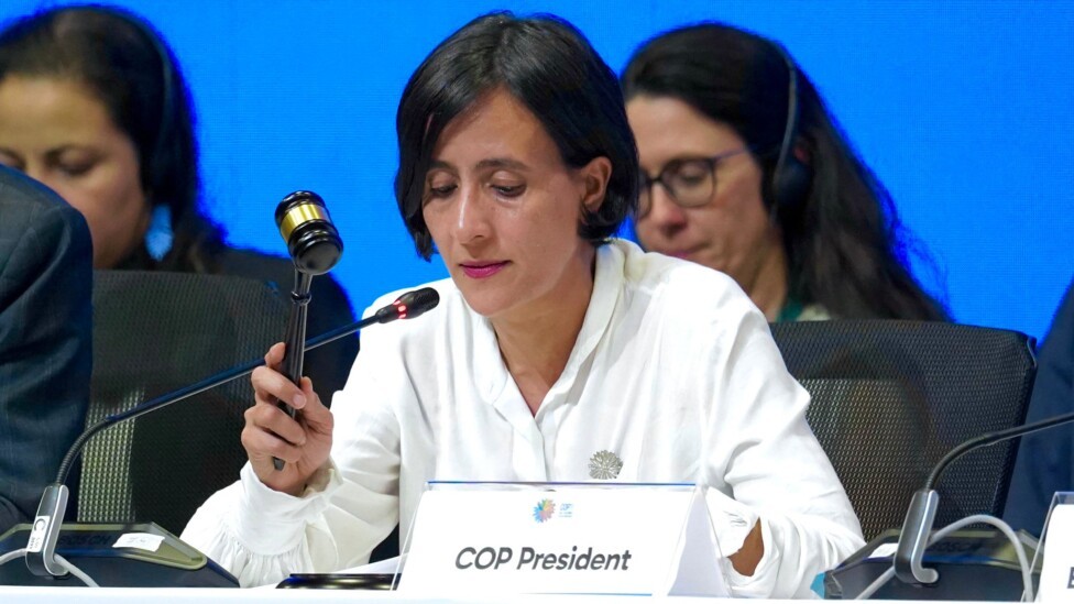 Ante la recta final de la COP16: ¿en qué se ha avanzado? : IPS Agencia de Noticias