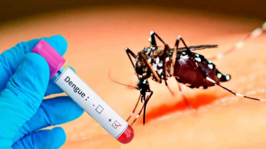 Aumento de casos de dengue en el condado de Los Ángeles enciende alarmas entre autoridades sanitarias - AlbertoNews