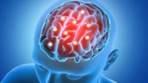 Ciencia: Muestran por primera vez las vías del cerebro para eliminar sus residuos