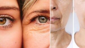 Científicos descubren la proteína que hace envejecer y buscan mejorar la esperanza de vida de las personas al eliminarla