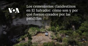 cómo son y por qué fueron creados por las pandillas