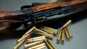 Condenados tres hombres a 15 años de prisión por tráfico de armas de fuego en Guárico