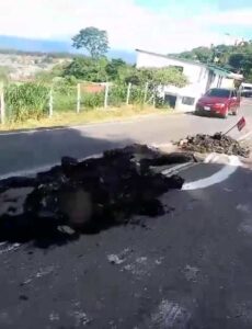 Conductores de frontera abogan por la recuperación de la Troncal 001 – Diario La Nación