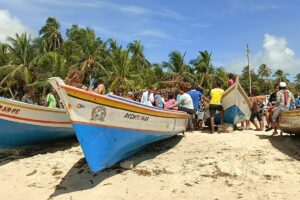 Hambre en el mar