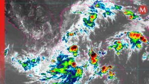 Declaran estado de emergencia en condados de Florida ante la prevista llegada de Milton - AlbertoNews