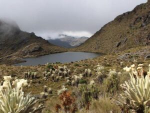 Decreto que delimita zonas de reserva natural pone en riesgo la actividad minera | Regiones | Economía