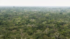 ciudad maya