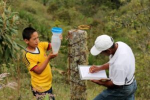 El futuro de la seguridad alimentaria está más allá de las mesas de negociación de la COP29 : IPS Agencia de Noticias