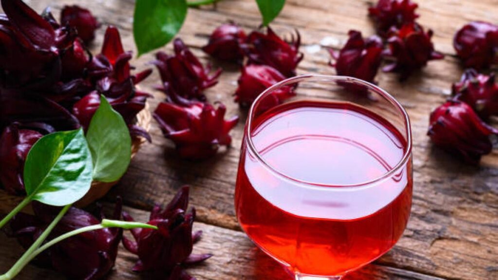 El poderoso té que tiene grandes contenidos antioxidantes, es rico en potasio, magnesio y favorece el sueño