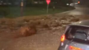 Emergencias por inundaciones en Medellín y Manizales después de fuertes aguaceros