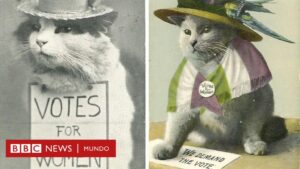 “Es una ley fundamental de la comunicación”: por qué cuando surge una nueva tecnología, la gente la llena con imágenes de gatos