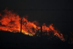 Estudio revela que incendios forestales han disparado un 60% las emisiones mundiales de CO2 en dos décadas