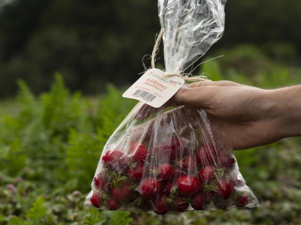 Exportaciones agropecuarias de Colombia crecen un 11,5% en agosto de 2024: café, flores y aguacate como líderes | Agro | Economía