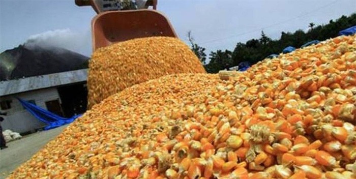 Fedeagro: Cadena de producción está desbalanceada y perjudica al sector agrícola