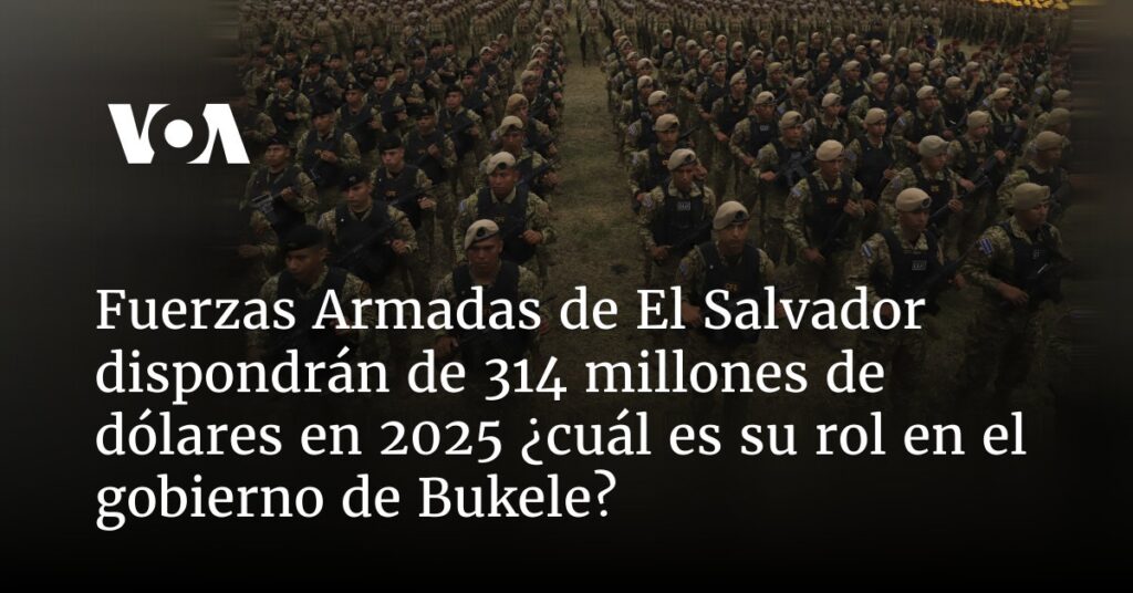 Fuerzas Armadas de El Salvador dispondrán de 314 millones de dólares en 2025 ¿Cuál es su rol en el gobierno de Bukele?