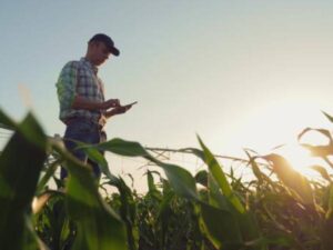 Importaciones agropecuarias disminuyeron 7,4% durante julio | Agro | Economía
