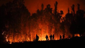 Incendios forestales dispararon 60% las emisiones mundiales de CO2 en 2 décadas - AlbertoNews