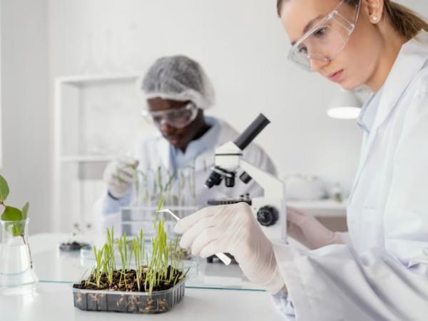 La Bioingeniería, clave para garantizar la seguridad alimentaria | Agro | Economía