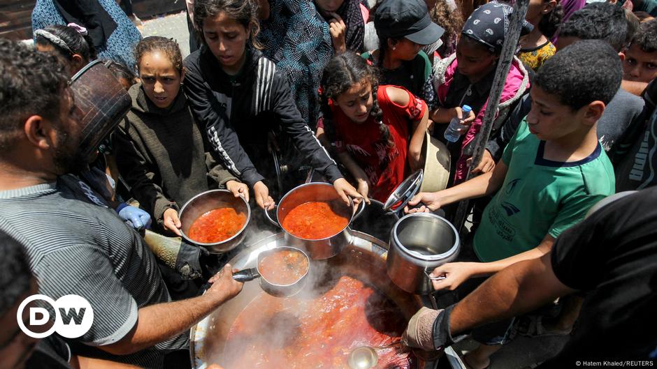 La ONU alerta de alto riesgo de hambruna en Gaza y Haití – DW – 31/10/2024