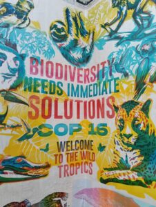 Las oportunidades y desafíos de los créditos de biodiversidad en la COP16 : IPS Agencia de Noticias